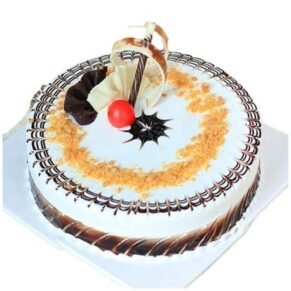 Spl Cake (Cool Cake)